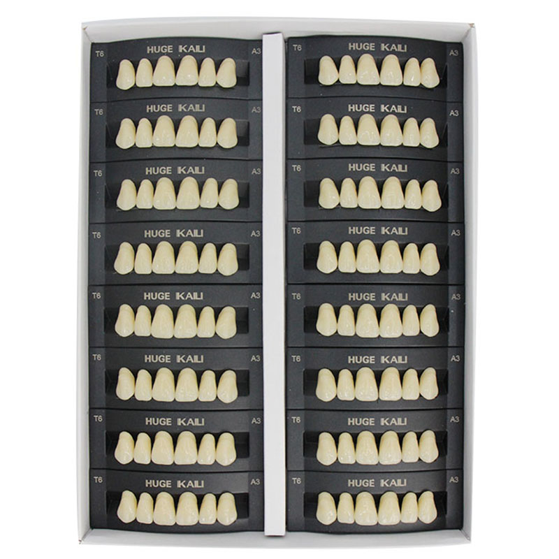 Resin Art Case - 4/12/16sets/box 치과 수지 치아 후방 전방