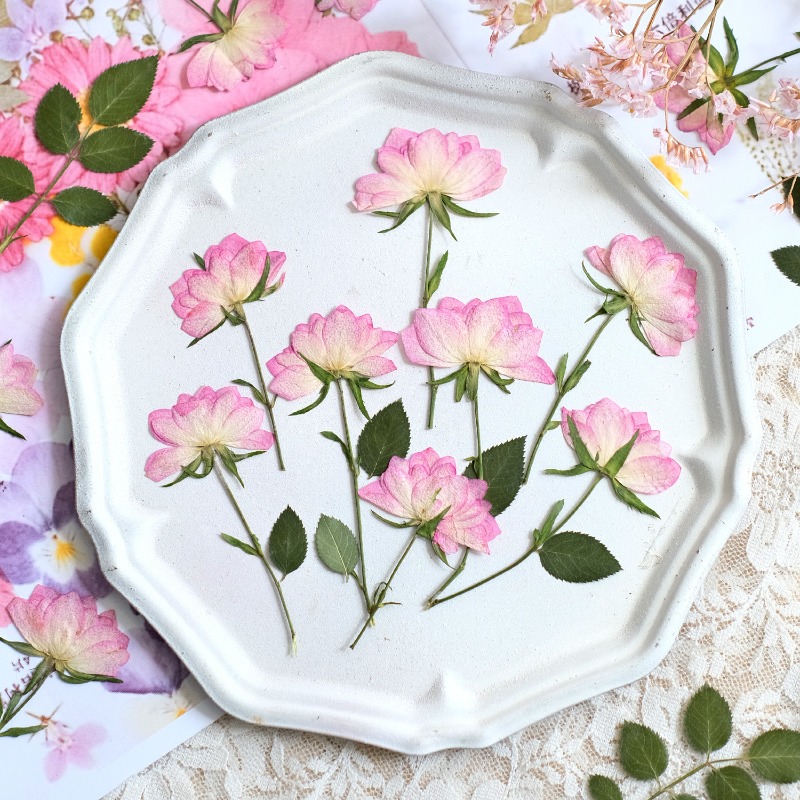 Resin Art Baby - 12개, 휴대폰 케이스 DIY용 진짜 건조