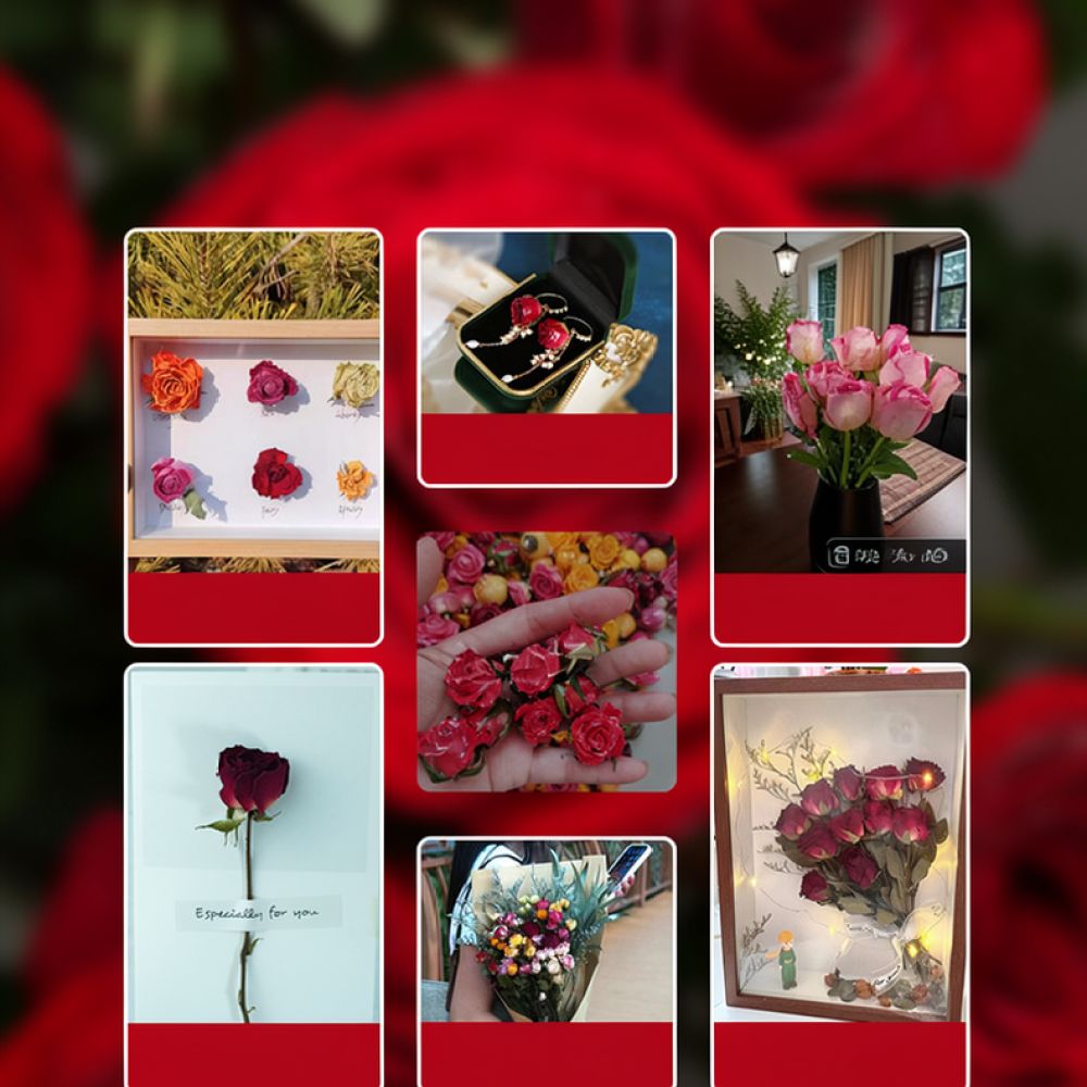 Resin Art Rose - 자연 건조된 장미 꽃다발, 버블 장미,