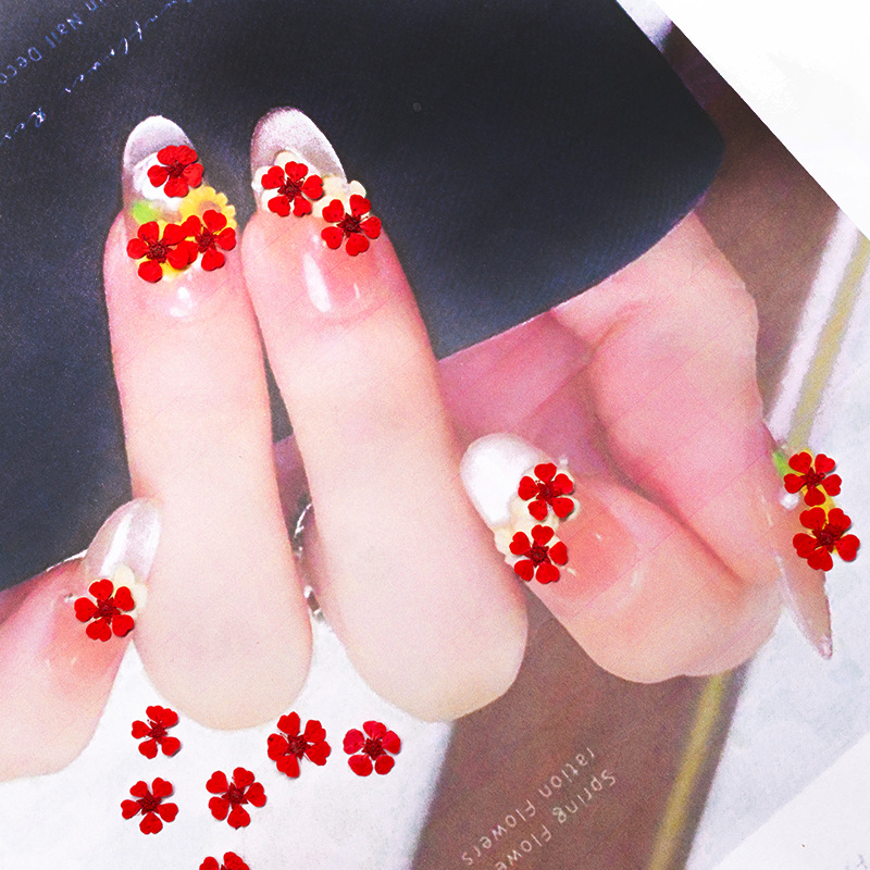 96개 미니 1.5cm 천연 압화 화려한 진주빛 꽃 말 - Resin Art Baby 리뷰 및 가격