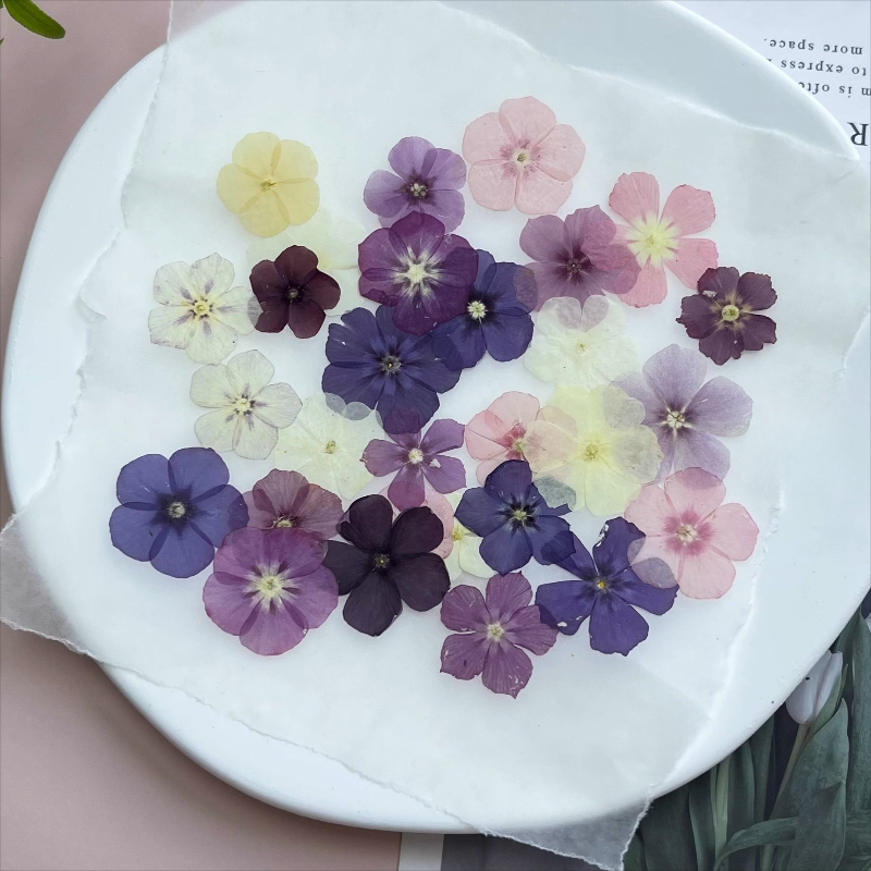 12개, 반투명 니치 플록스 압화 - 사진 액자/레진  - Resin Art Baby 리뷰 및 가격