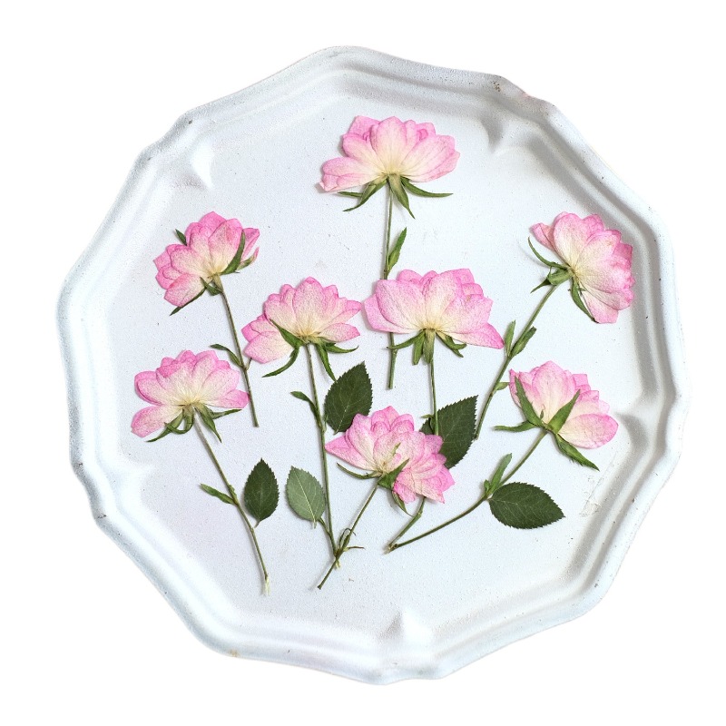 12개, 휴대폰 케이스 DIY용 진짜 건조 압축 꽃,  - Resin Art Baby 리뷰 및 가격